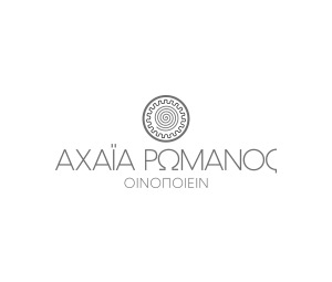 logo30